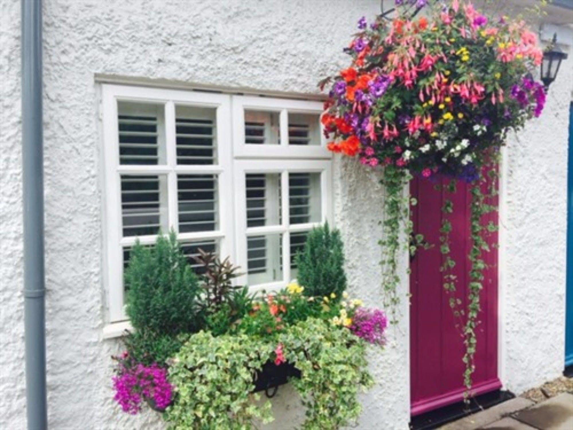 The Swan Inn Nantwich Exterior photo